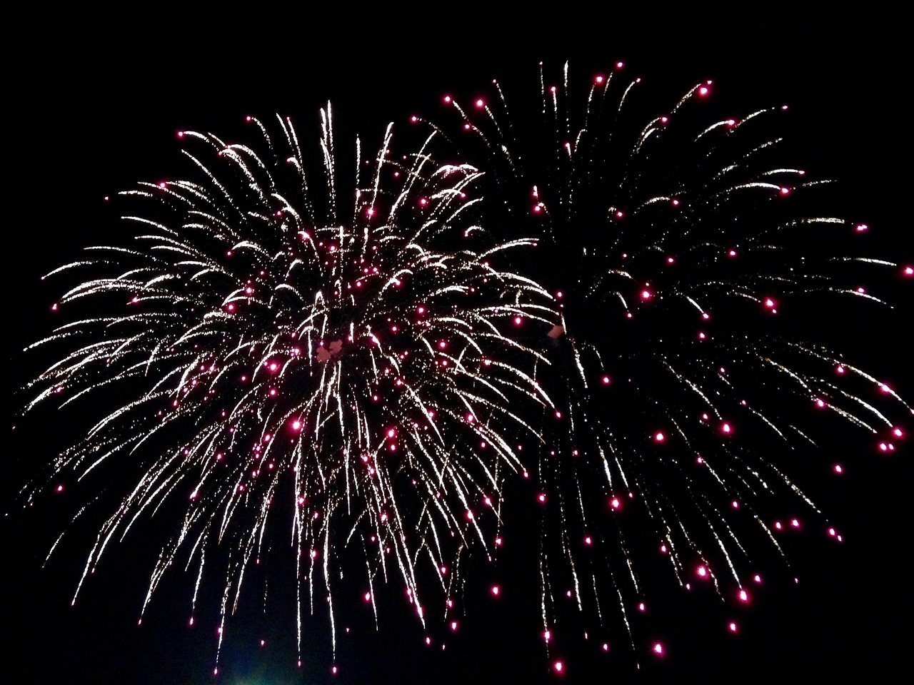 Pháo hoa, pháo, firework, tết, lễ hội, festival, hình nền, background - NadineSlawik