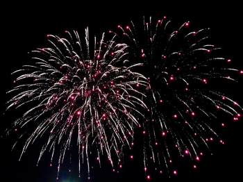 Pháo hoa, pháo, firework, tết, lễ hội, festival, hình nền, background - NadineSlawik