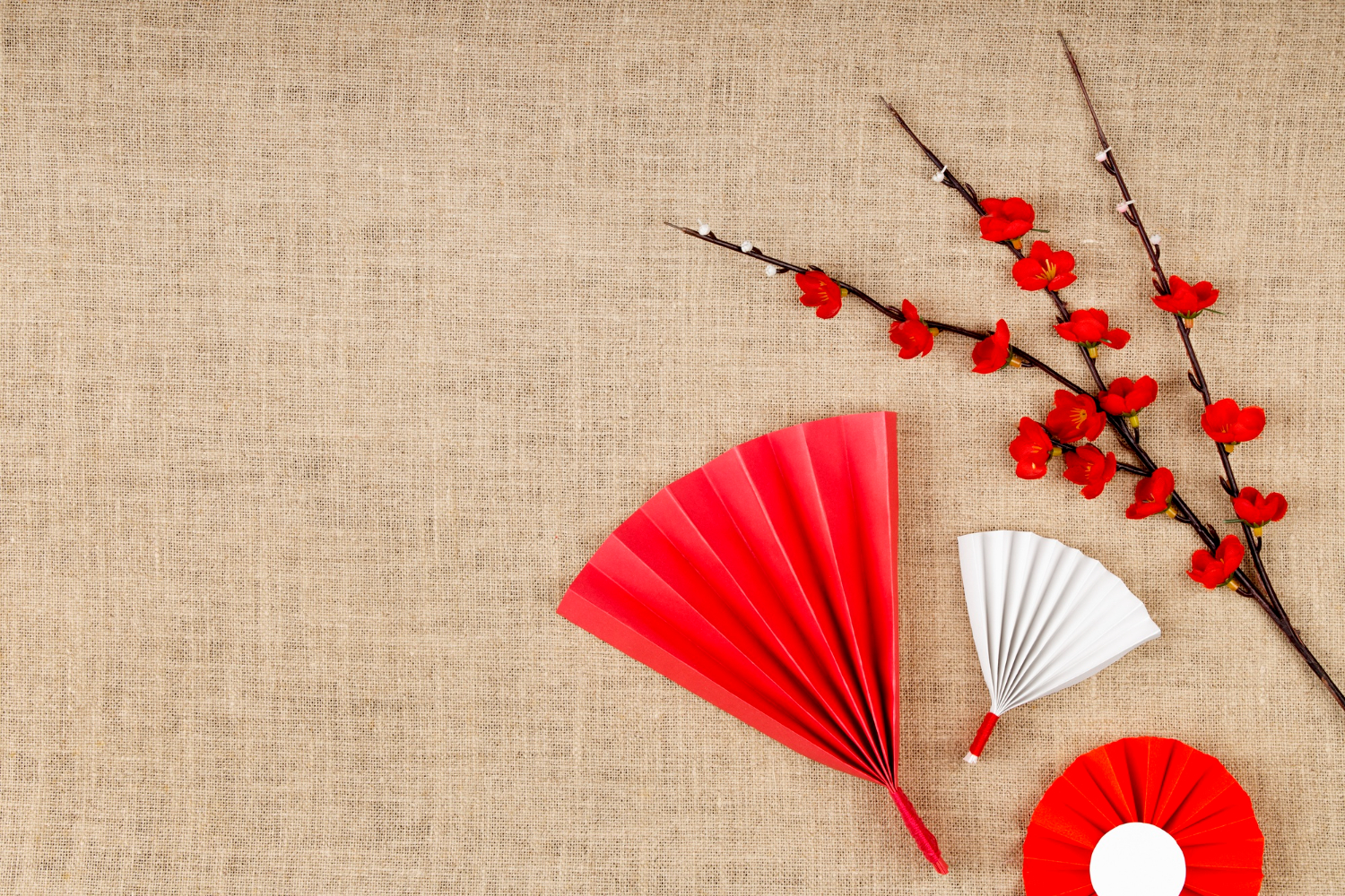 Hoa mai đỏ, trang trí cùng quạt giấy, thực vật, màu đỏ, quạt giấy trắng, quạt tròn, tết nguyên đán, may mắn, nền vải bao bố, red apricot blossom, decorated with paper fans, plant, red