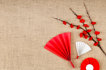 Hoa mai đỏ, trang trí cùng quạt giấy, thực vật, màu đỏ, quạt giấy trắng, quạt tròn, tết nguyên đán, may mắn, nền vải bao bố, red apricot blossom, decorated with paper fans, plant, red