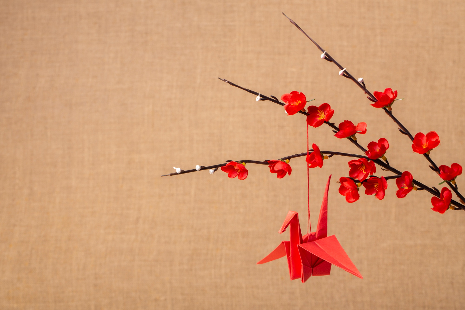 Chim thiên nga giấy, treo, đồ chơi, hoa mai đỏ, cành hoa, trang trí, tết, origami, màu đỏ, phông nền vải bố, paper crane, hanging, toy, red apricot blossoms, flower branches, decoration