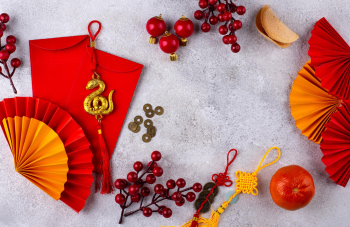 Linh vật rắn, tết nguyên đán, trang trí, bao lì xì, quạt giấy, lồng đèn, đồng xu, cành lựu, nút thắt may mắn, màu đỏ, màu vàng, khung ảnh, snake mascot, lunar new year, decoration - yuliyafurman 2