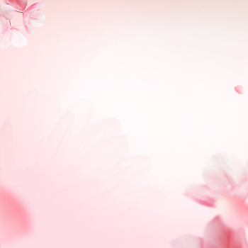Nền hoa, pink 1