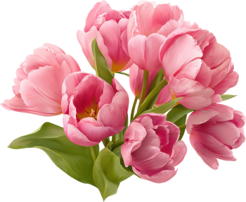 Bó hoa, hoa tulip
