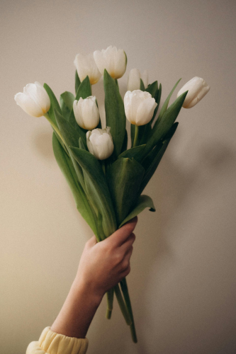 Hoa tulip, hoa- Alina Komarevska 4