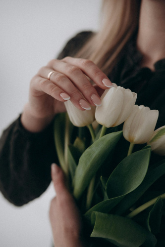 Hoa tulip, hoa- Alina Komarevska 7