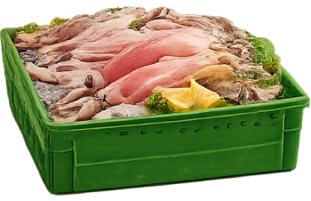 Mực, hộp mực, hải sản