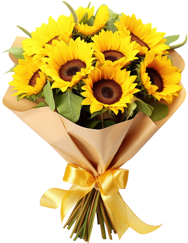 Hoa hướng dương, flower