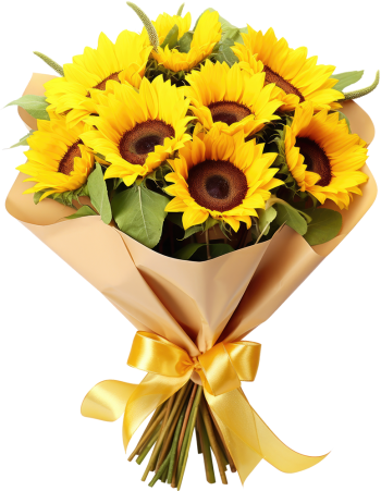 Hoa hướng dương, flower