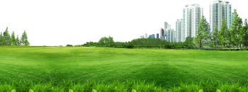 Bãi cỏ, hoa, grass 1