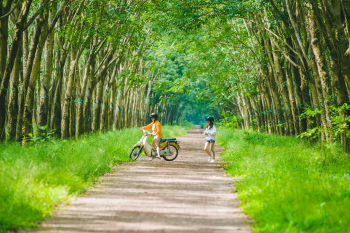 Bạn bè, rừng - Bảo Huỳnh 2