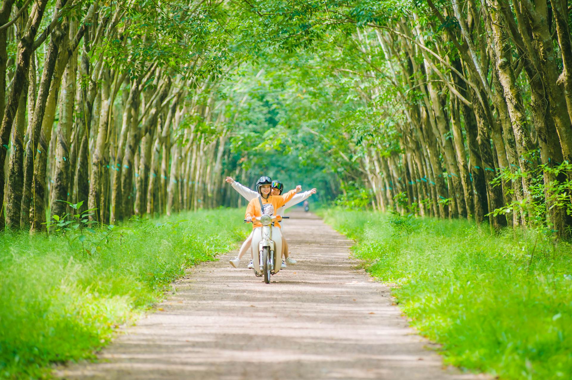 Bạn bè, rừng - Bảo Huỳnh 4