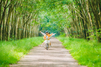 Bạn bè, rừng - Bảo Huỳnh 4