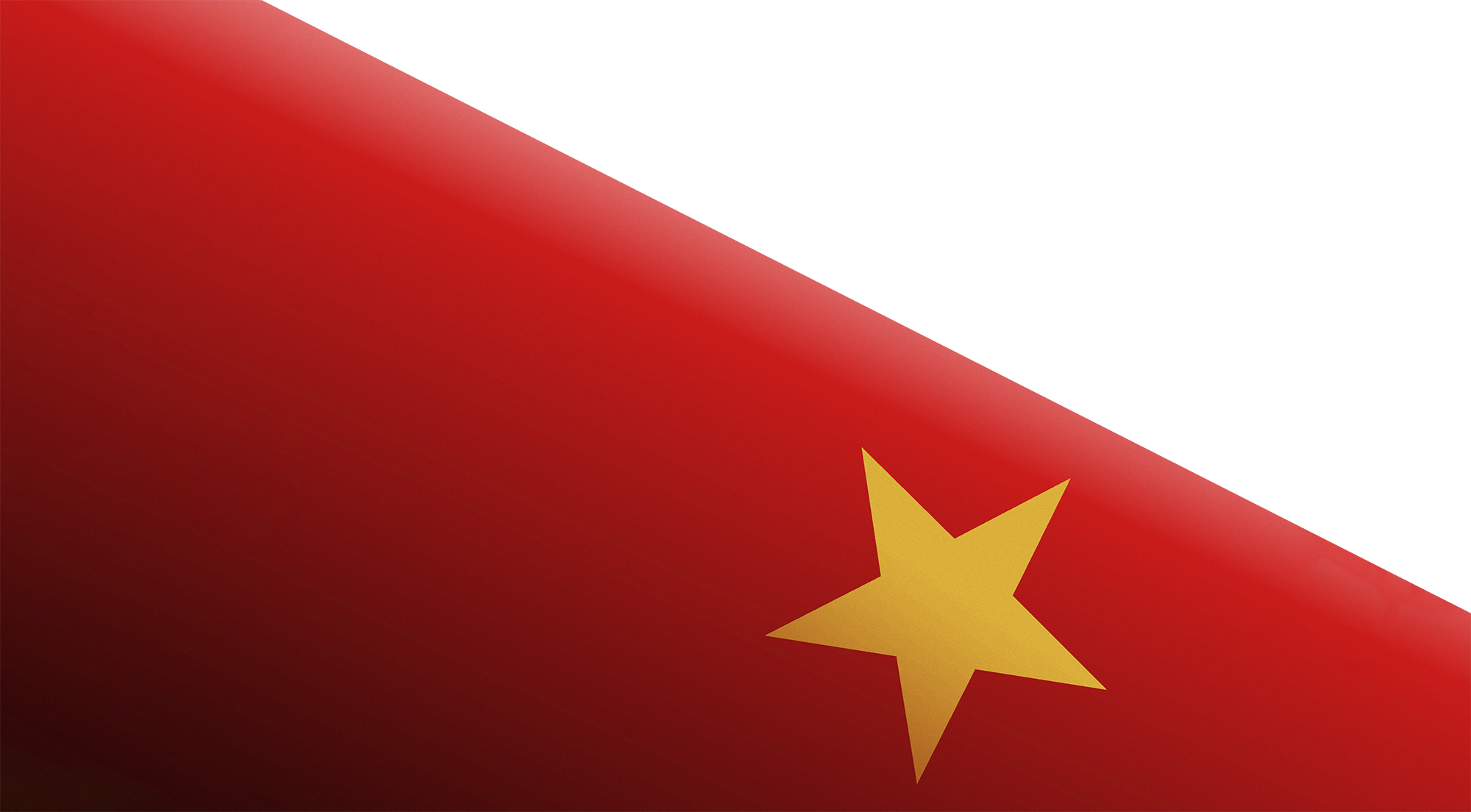 Cờ Việt Nam, lá cờ