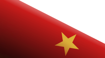 Cờ Việt Nam, lá cờ