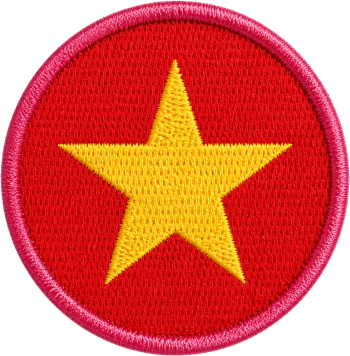 Huy hiệu, cờ việt nam 2