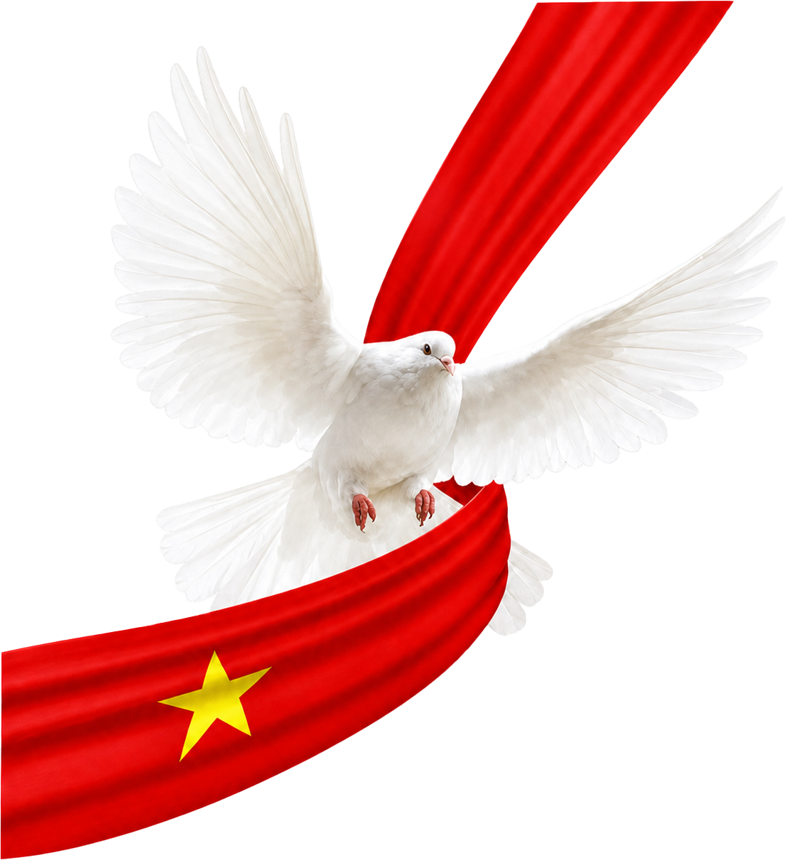 Chim bồ câu, lá cờ Việt Nam