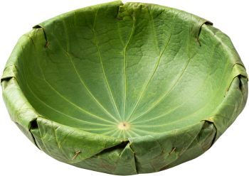 Khay đựng, đồ đựng 6