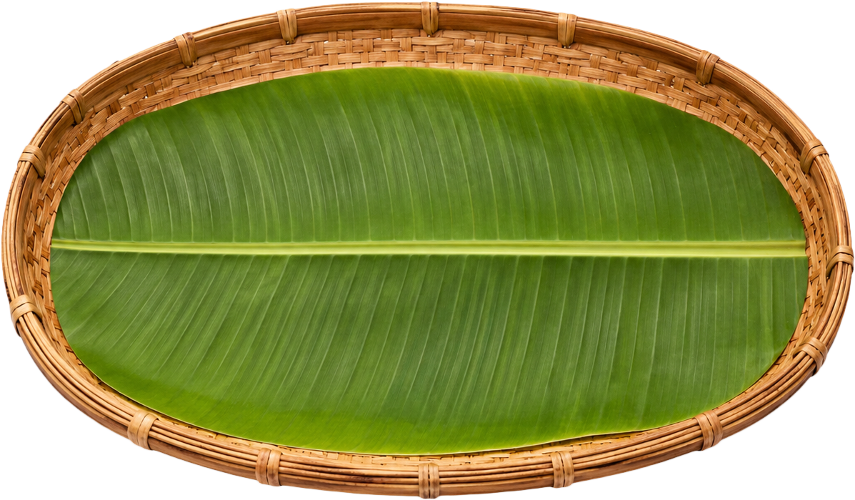 Khay đựng, đồ đựng 7