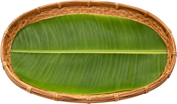Khay đựng, đồ đựng 7