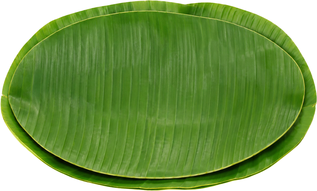 Khay đựng, đồ đựng 1