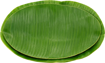Khay đựng, đồ đựng 1