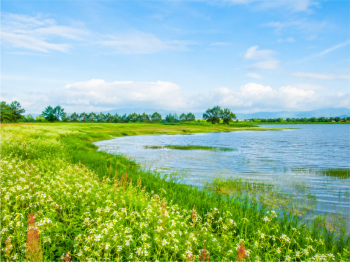Cảnh đẹp, đồng bằng 1