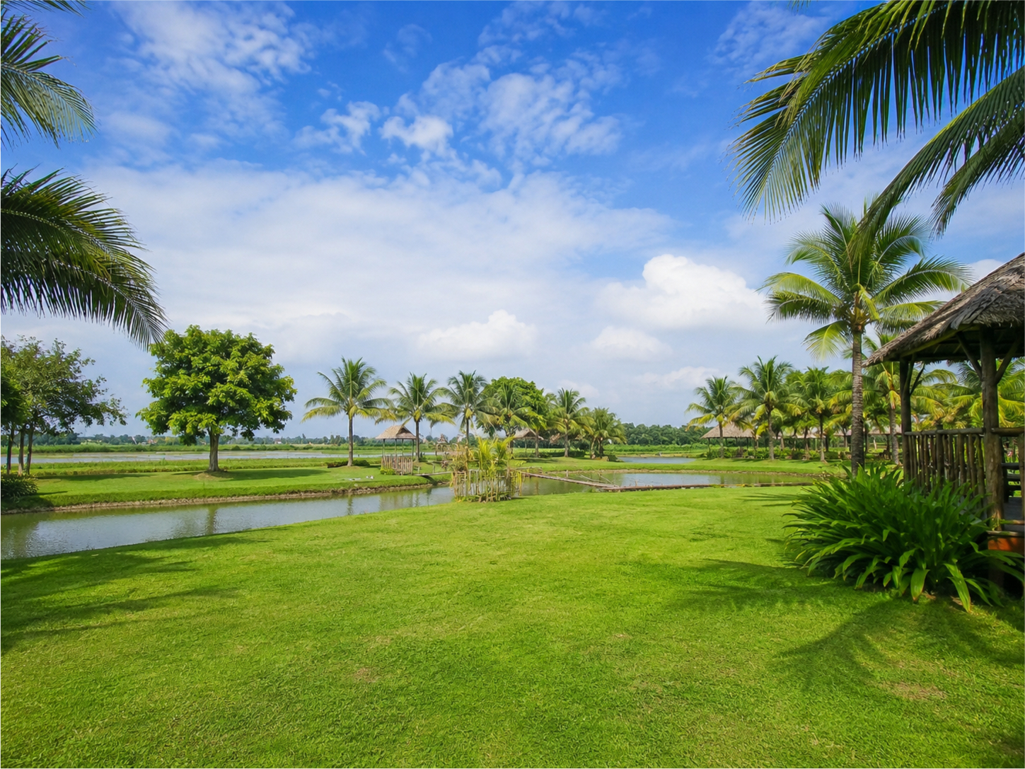 Cảnh đẹp, đồng bằng 4