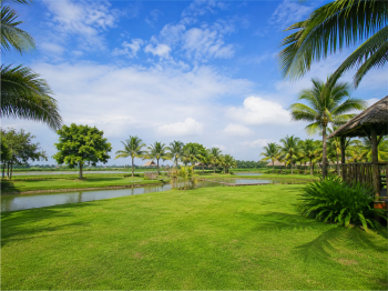 Cảnh đẹp, đồng bằng 4