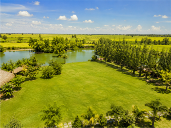 Cảnh đẹp, đồng bằng 7