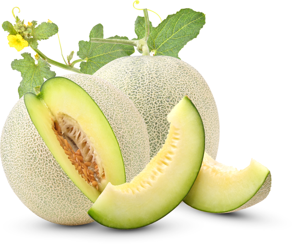 Dưa lưới, trái cây