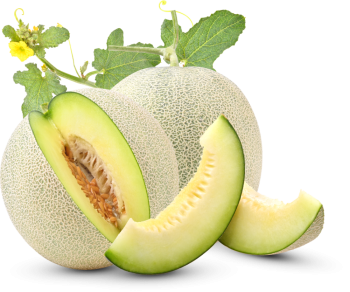 Dưa lưới, trái cây