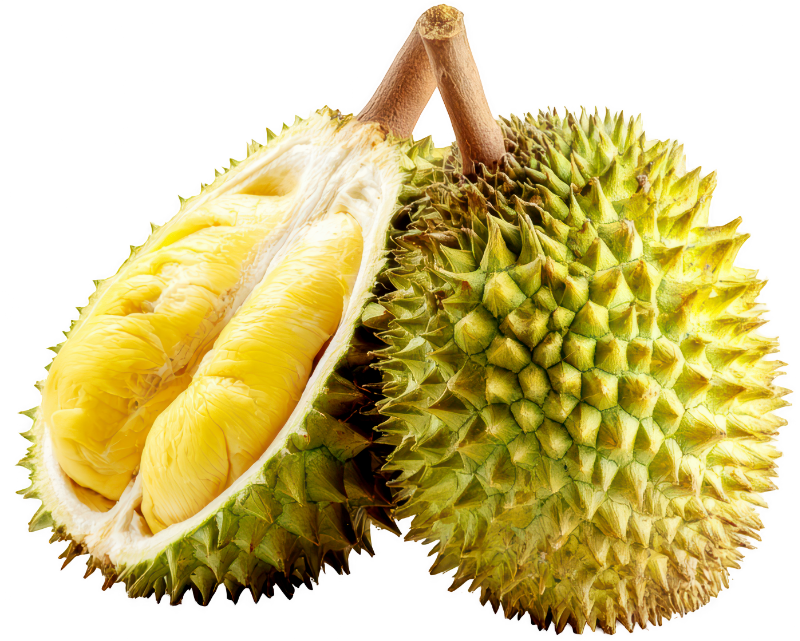 Sầu riêng, trái cây 2