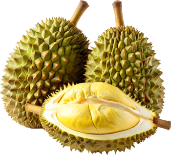 Sầu riêng, trái cây 1