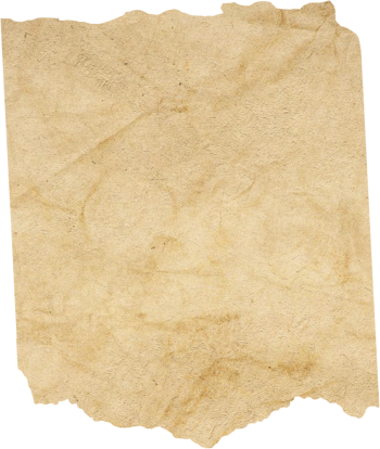 Giấy, paper 55