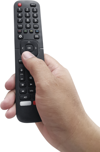 Tay cầm điều khiển, remote 2