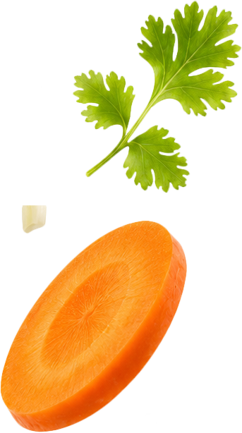 Rau mùi, cà rốt 1