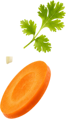 Rau mùi, cà rốt 1