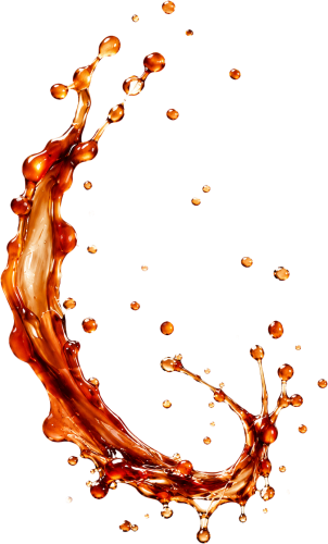 Nước mắm, nước chấm 4