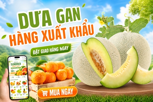 Từ hình https://media.penci.vn/bfc/image/transform/width=800,height=800/libs/images/2026/06/penci_bich_tram_d14.png tạo thiết kế giốnghttps://media.penci.vn/bfc/image/transform/width=800,height=800/libs/imgupload/2026/07/upload_367_Euu6bf78y4AP.png, kết hợp cho ra thiết kế với nội dung: Dưa gan hàng xuất khẩu, đặt giao hàng ngay